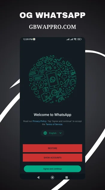 OG-whatsapp-screenshots-1-1