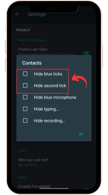 gb-whatsapp-hide-blue-ticks-1